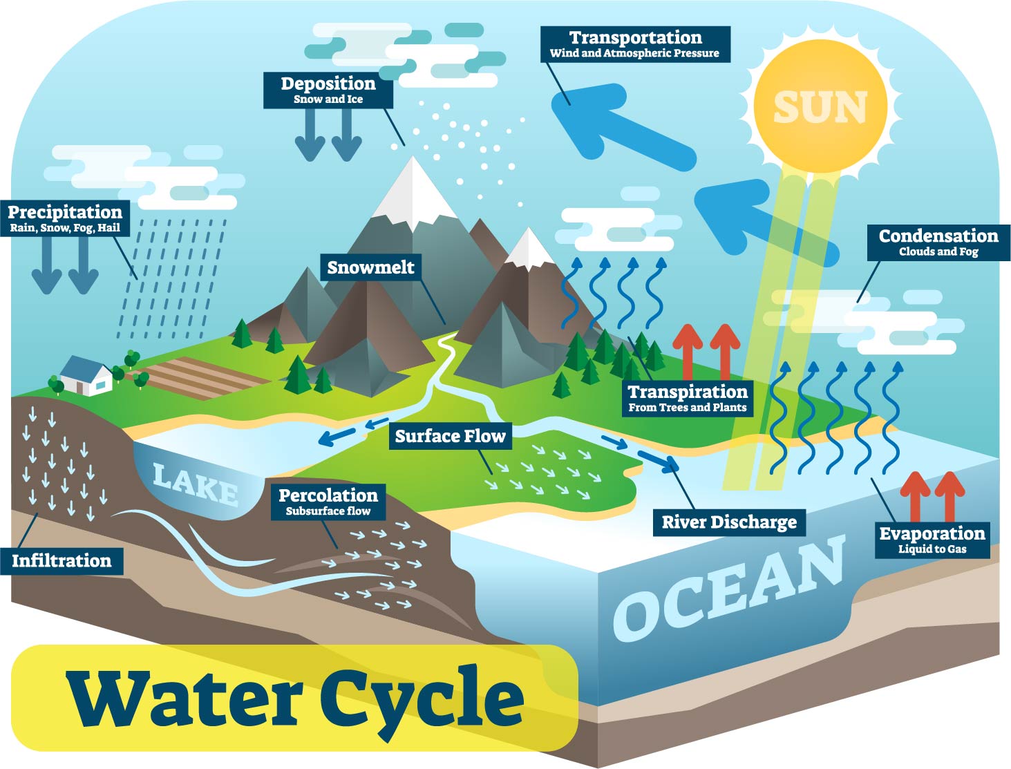 Watercycle Graphic